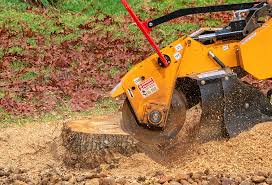 Best Utility Line Clearance  in Surgoinsville, TN